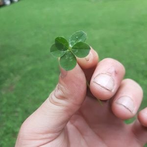 Meet your Posher, Matt